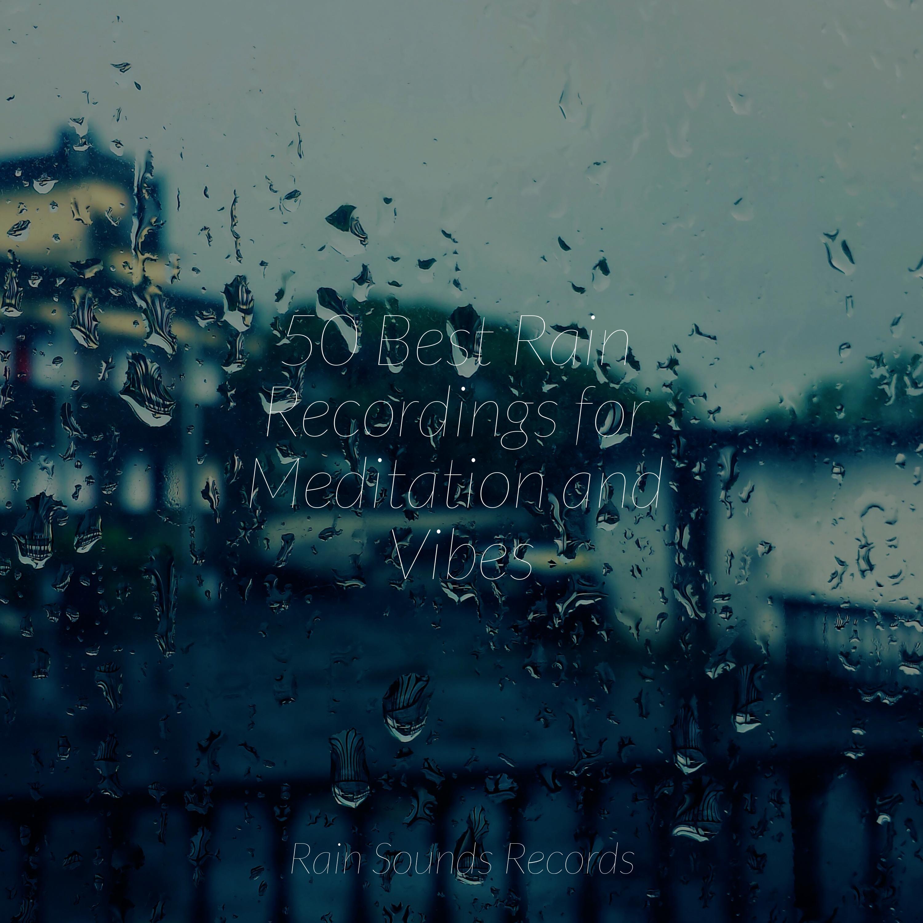 Feathered Canopy Melodies - Sea Waves Sounds/Weather Factory ...