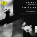 Brahms: Violin concerto, op. 77 / Beethoven: Triple concerto, op.56