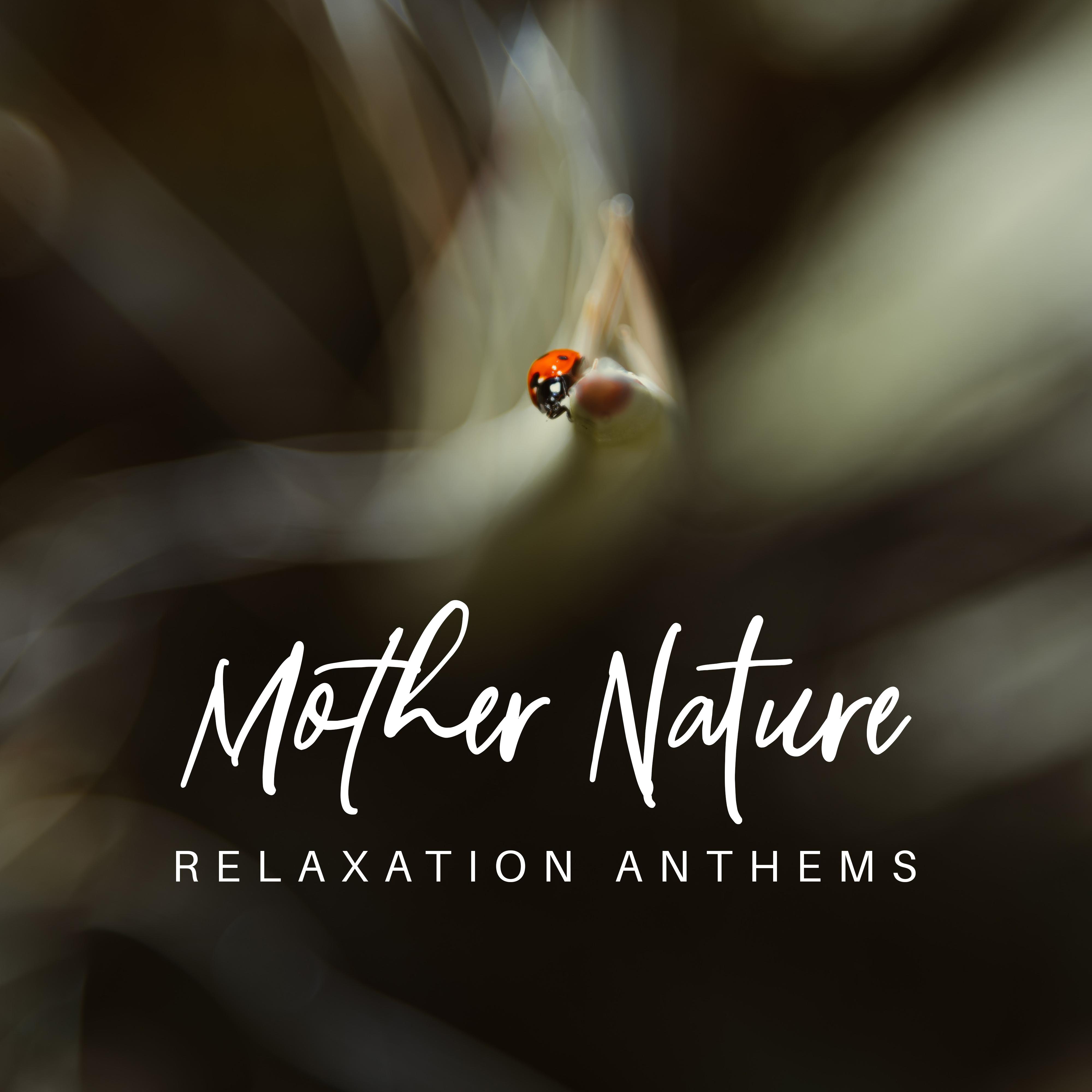 Mother Nature Relaxation Anthems: 2019 New Age Music for Total Relax, Calming Down Sounds, Rest Afte专辑