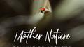 Mother Nature Relaxation Anthems: 2019 New Age Music for Total Relax, Calming Down Sounds, Rest Afte专辑