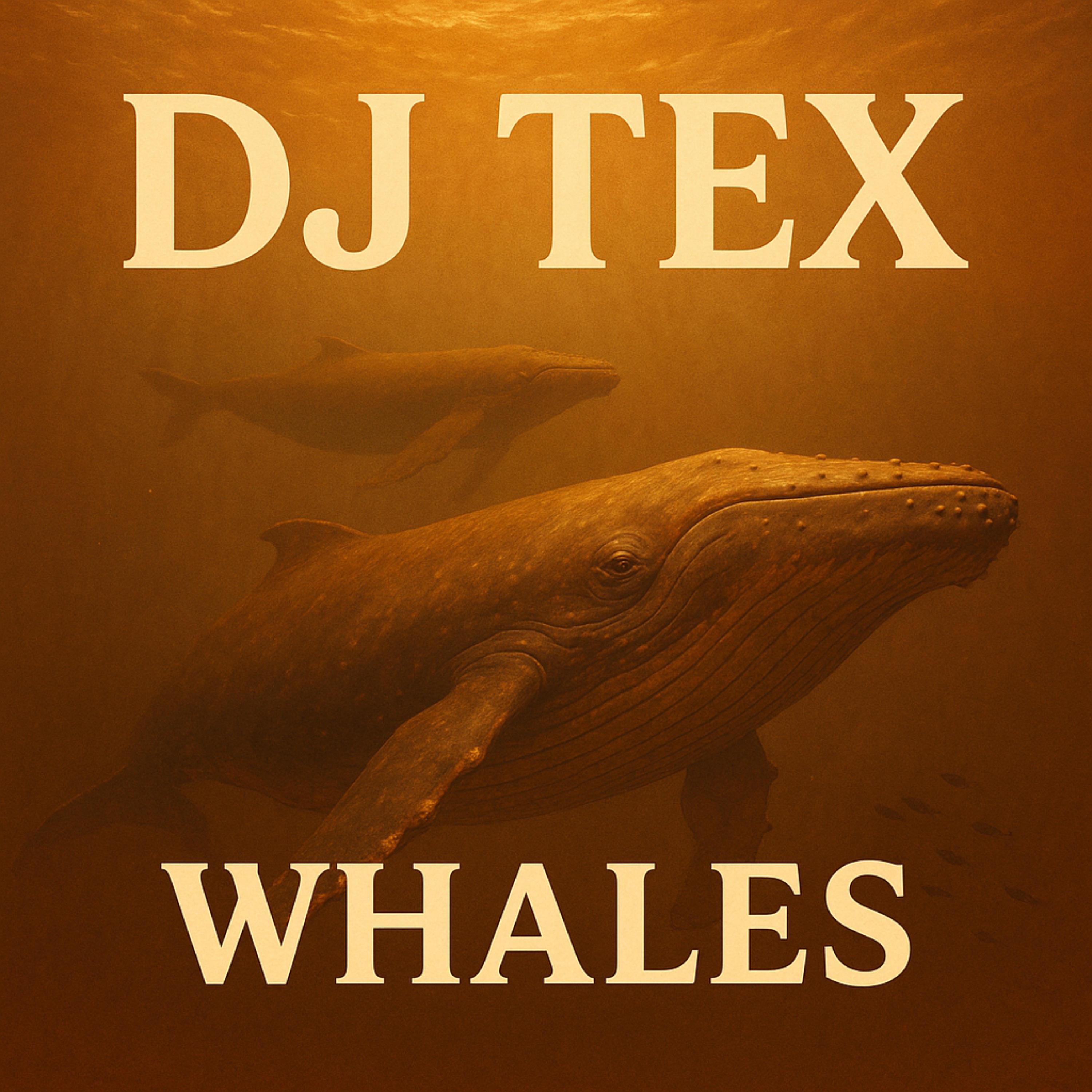 Whales (A Cross The Ocean Mix)