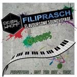 Flavoursome Sound Voyage - Remixes专辑