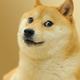 doge