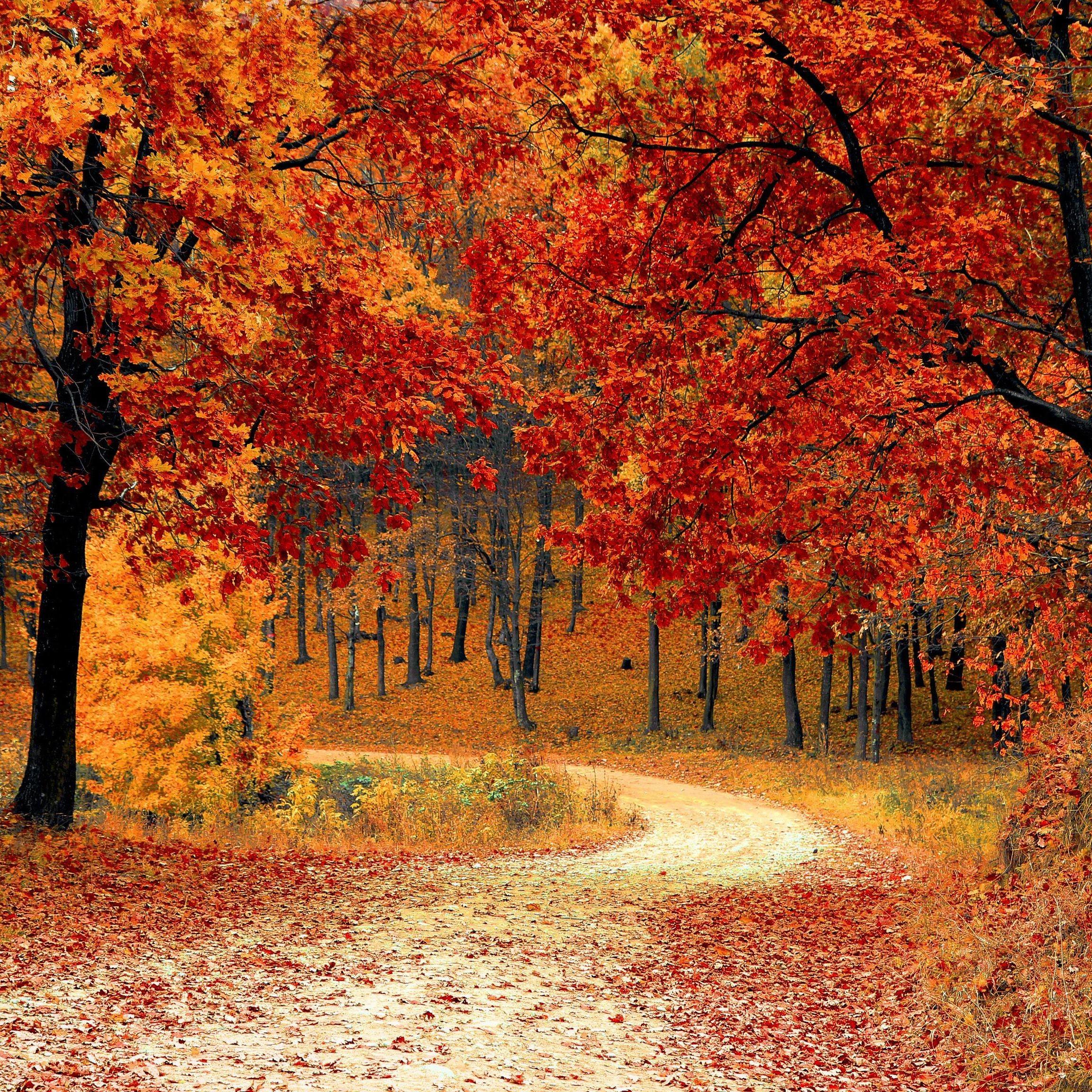 Fall