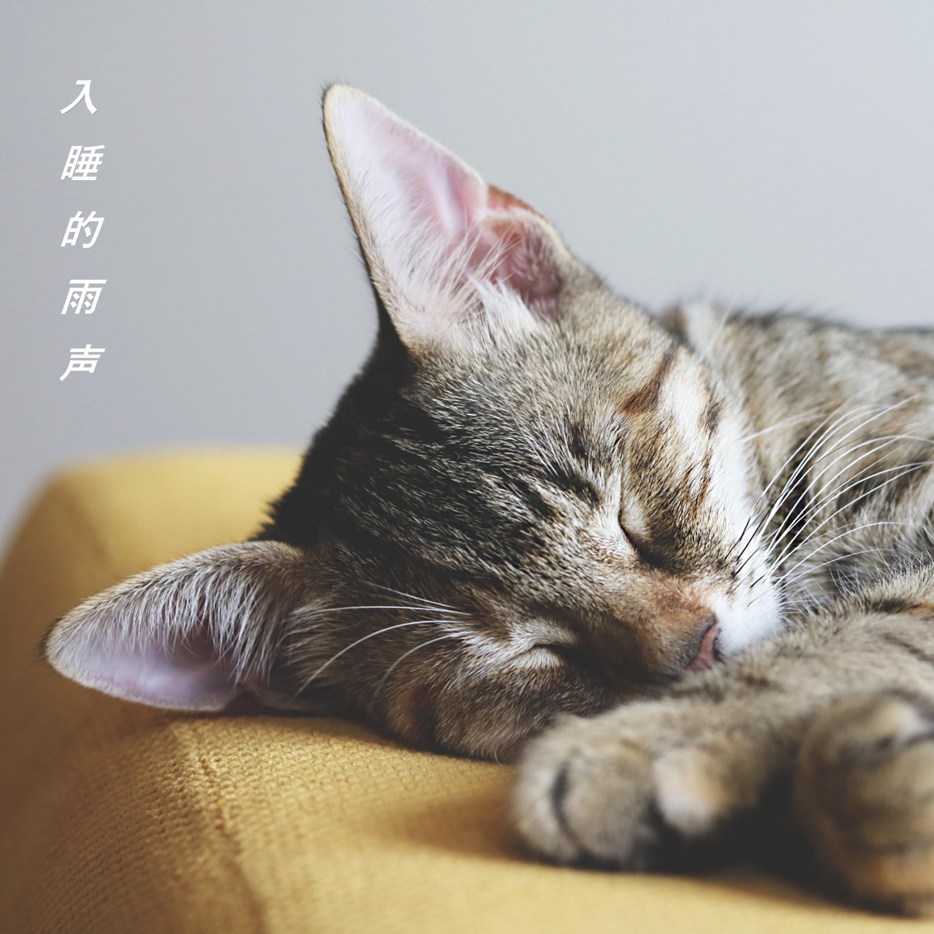 入睡的雨声
