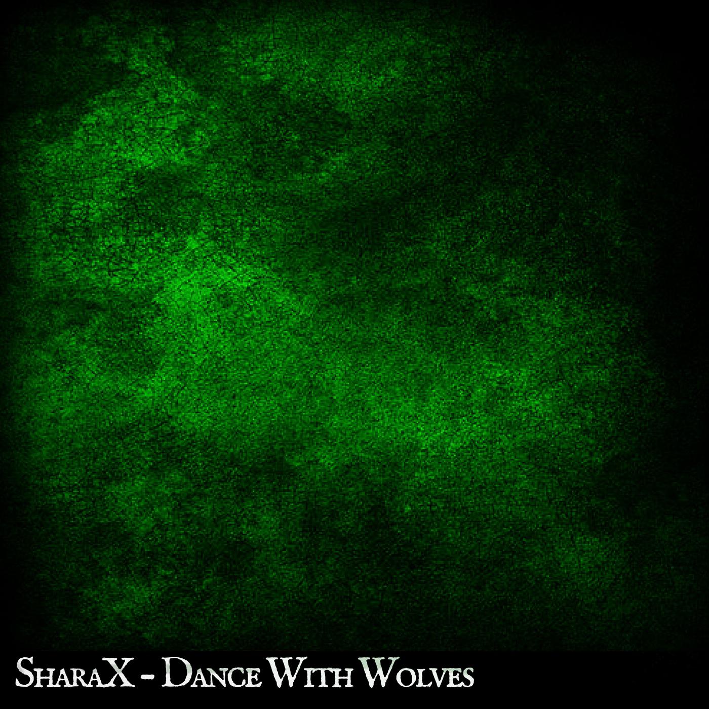 Dance With Wolves专辑