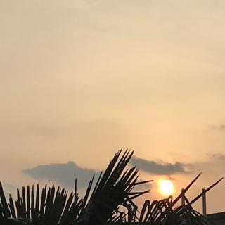 「翻唱精选集」520首好听的翻唱/Cover集✨