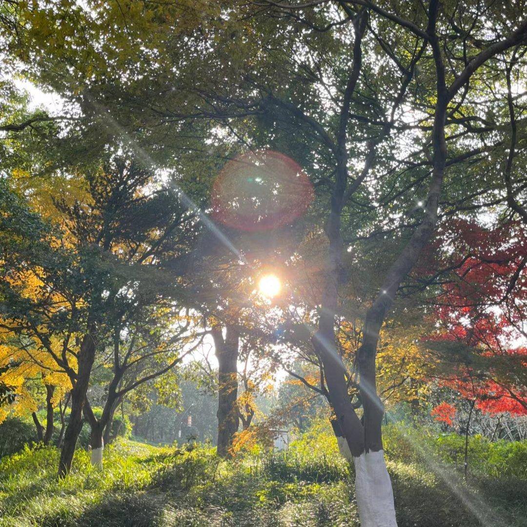 落在生命里的光(男声)