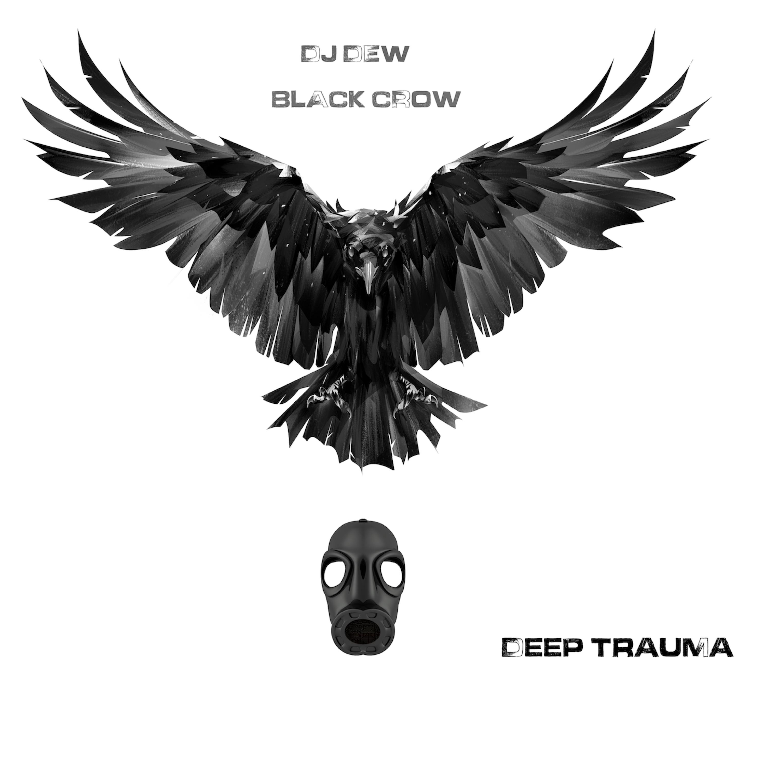 Shadow of a Black Crow
