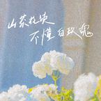 专辑《山茶花读不懂白玫瑰 (吉他版)》