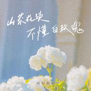 山茶花读不懂白玫瑰 (吉他版)