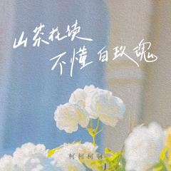 山茶花读不懂白玫瑰 (吉他版)