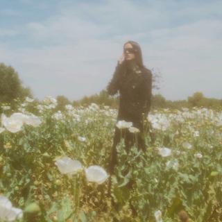 个̈̈人̈̈用̈̈分̈̈割̈̈线̈̈