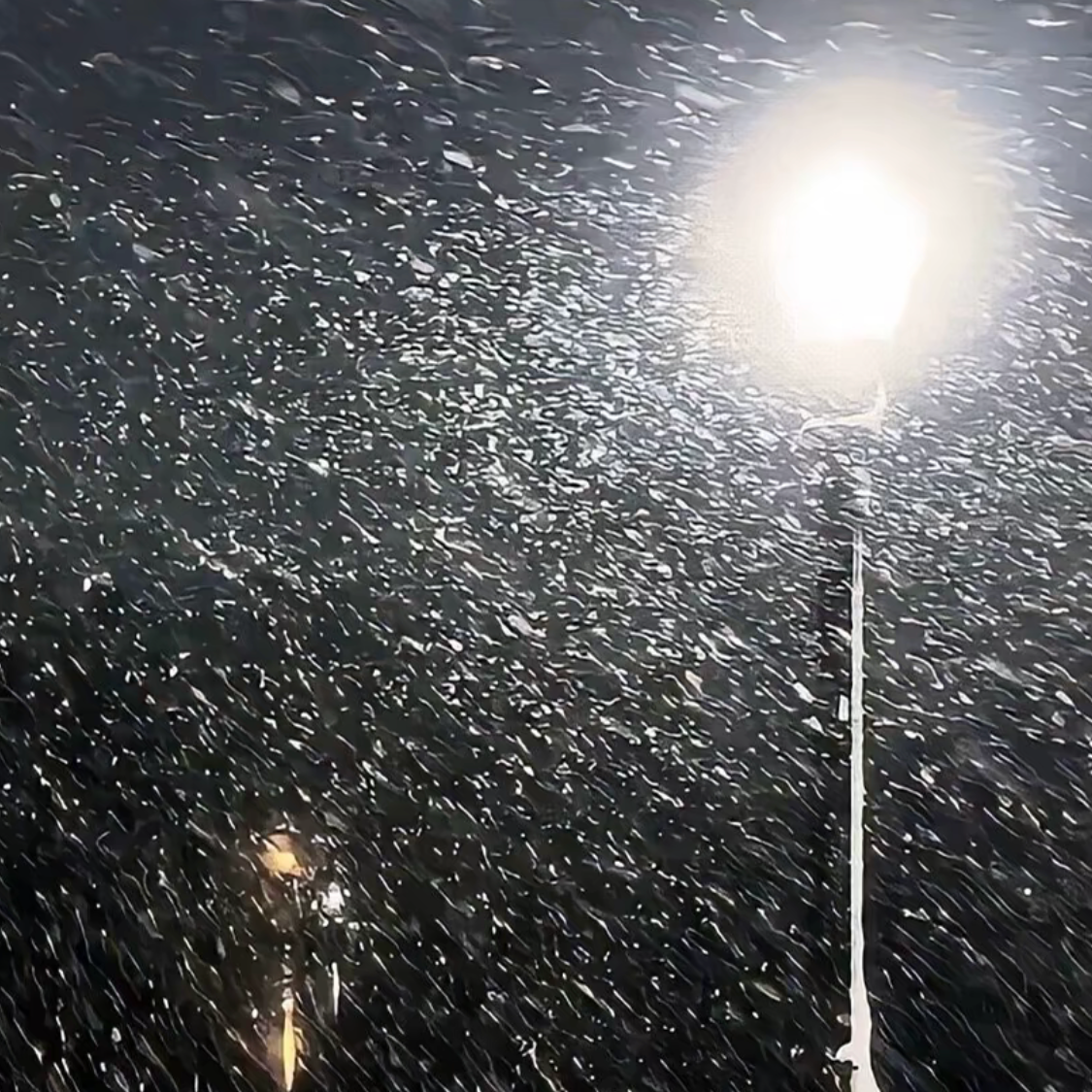 雪 Distance（斩虎 remix）