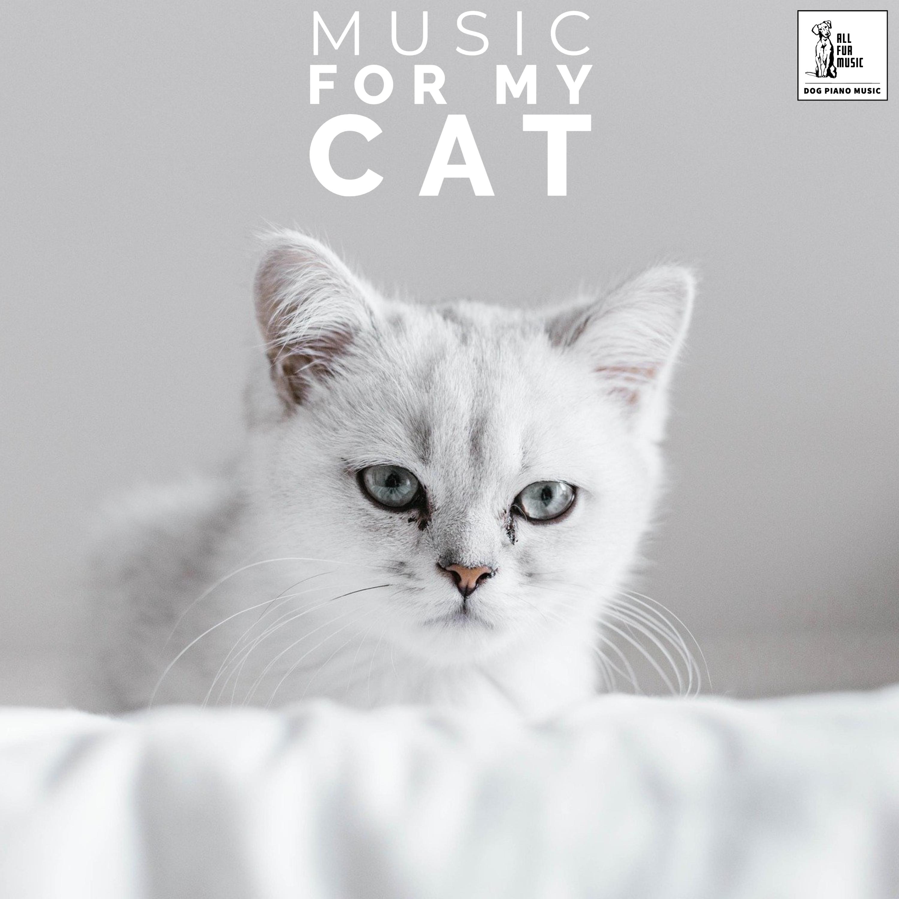 Music For My Cat