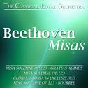 Clásica-Beethoven (Misas)专辑