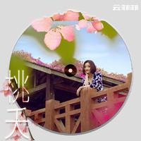 长白山 - 云菲菲 ( 44khz 192kpbs 15khz )