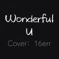 Wonderful U