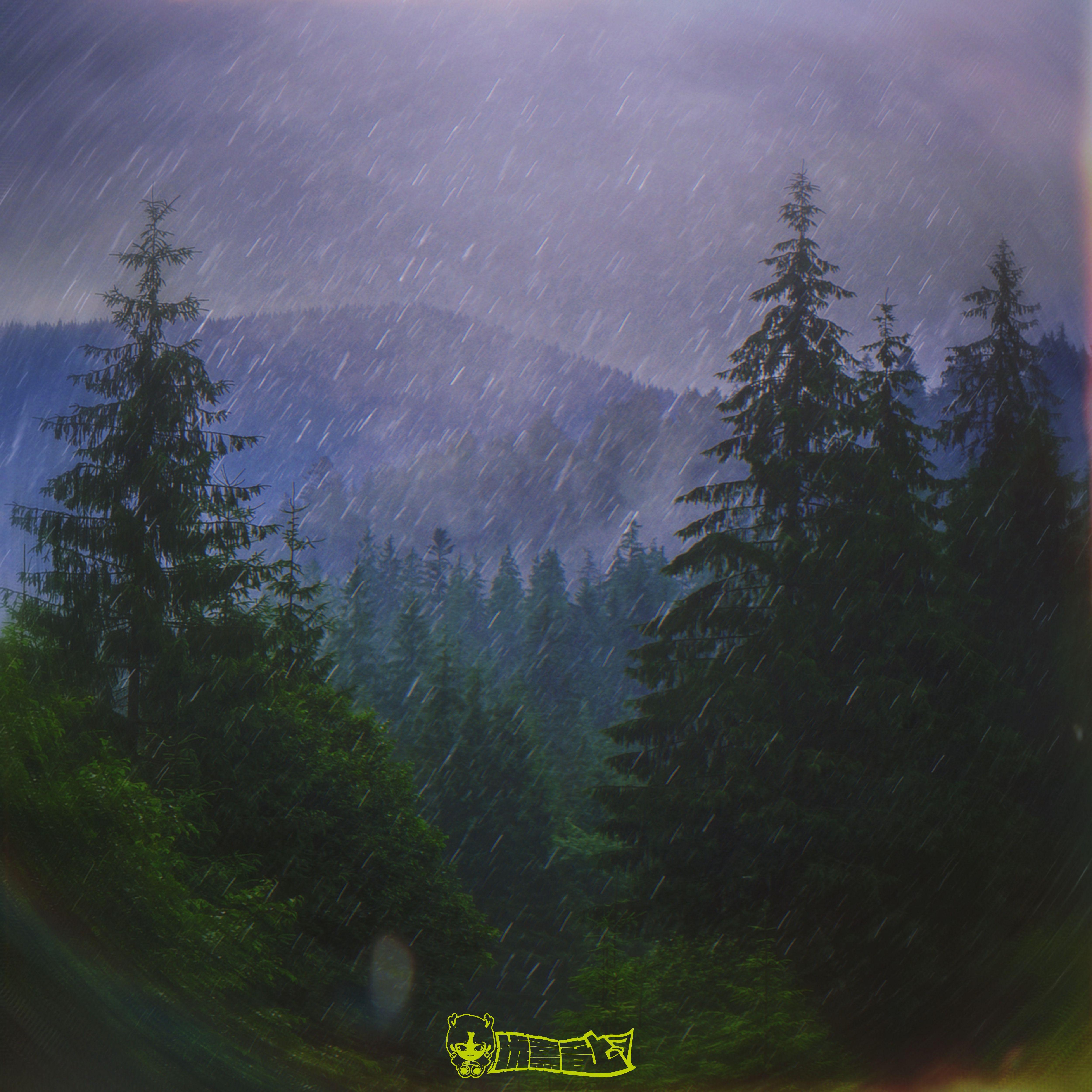 优胜美地的雨