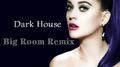 Dark House Big Room Bootleg专辑