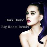 Dark House Big Room Bootleg专辑