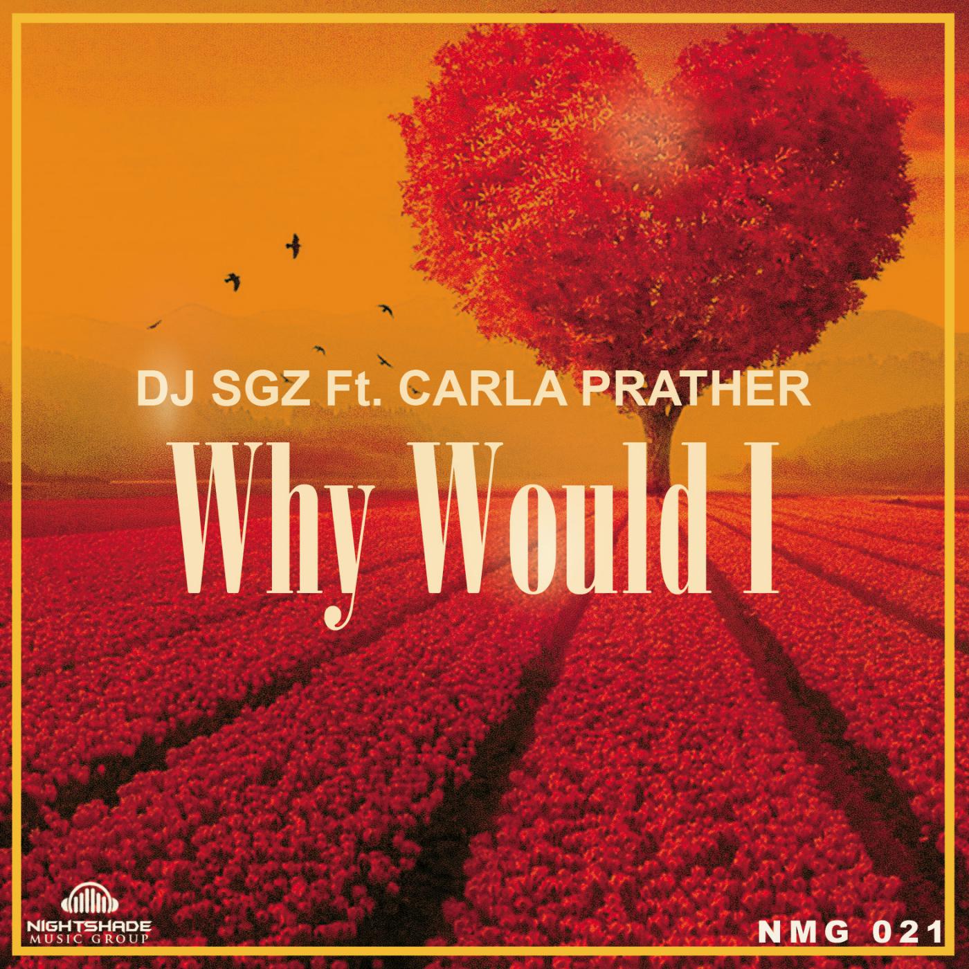 DJ SGZ - Why Would I (Radio Edit)