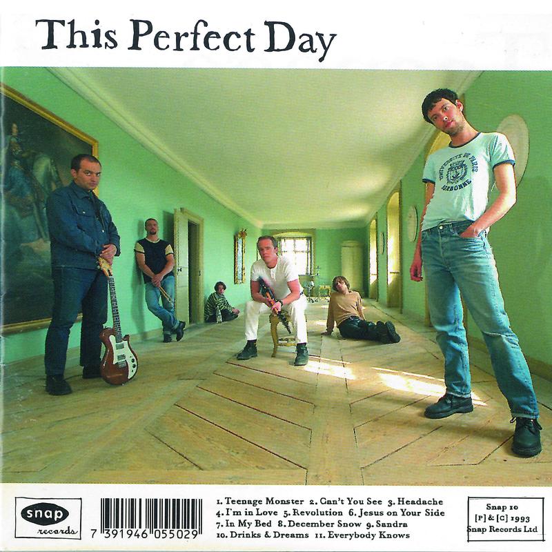 This Perfect Day