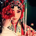 绝美戏腔｜一曲惊鸿醉 春上柳枝头