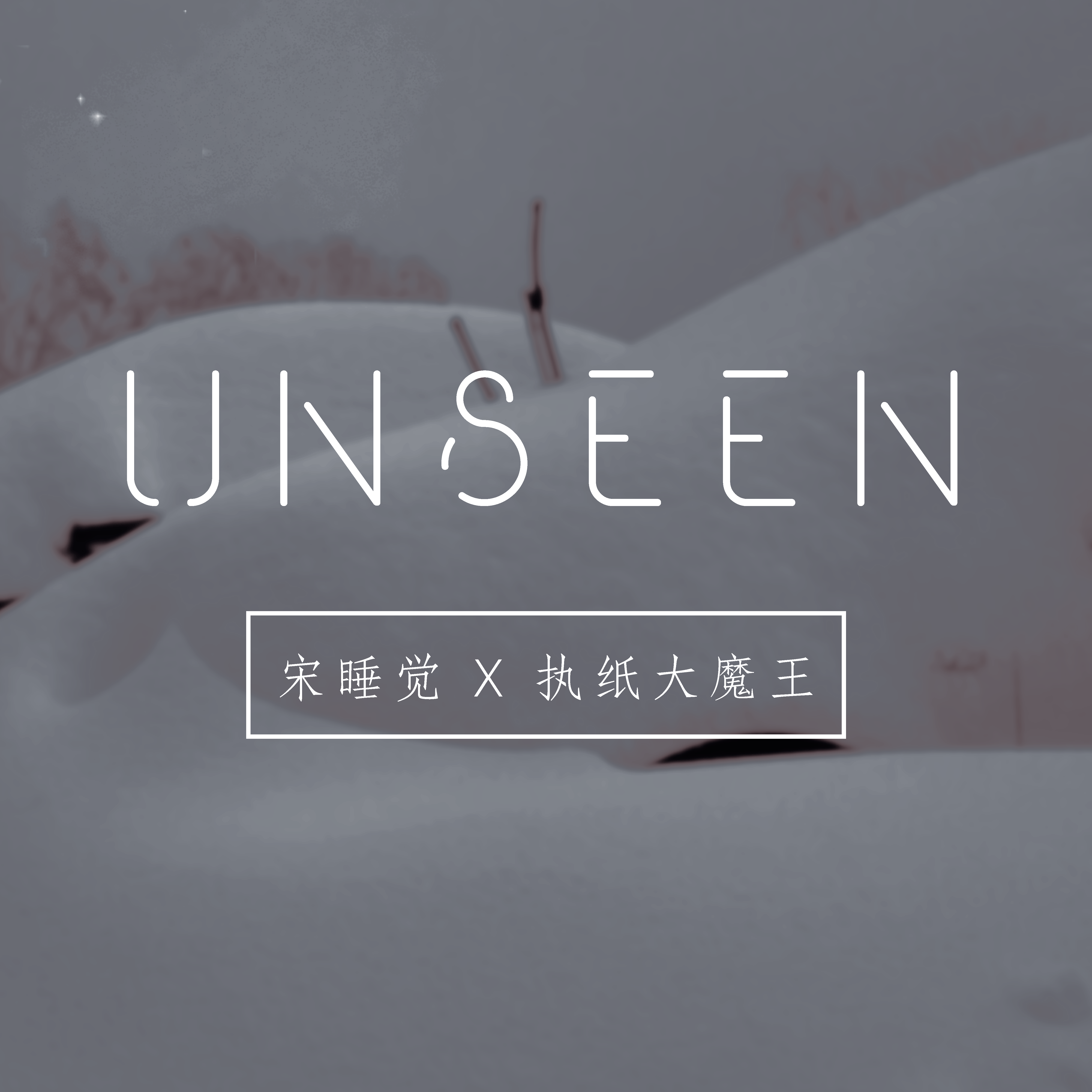 没见过的雪（Unseen）专辑