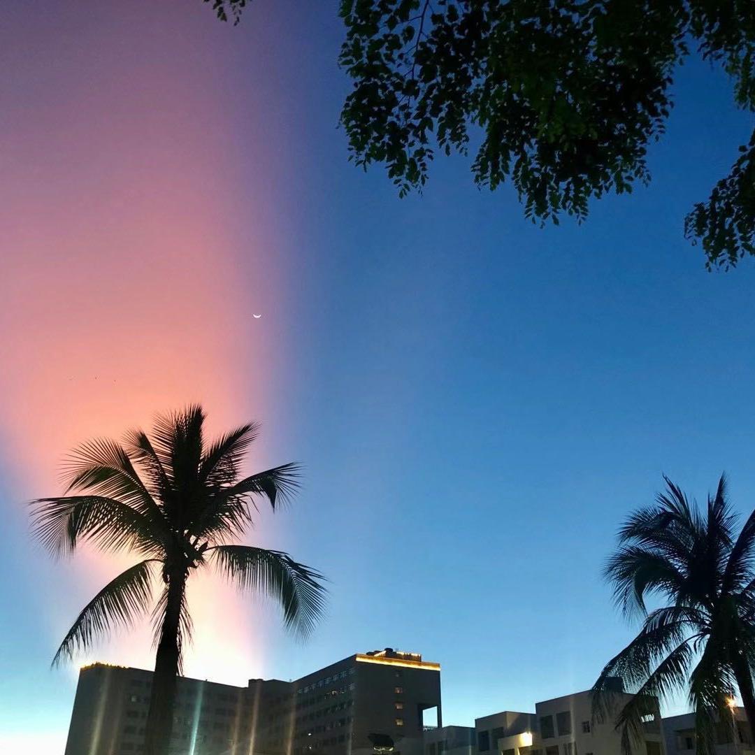 你是一池捞不起的波光粼粼