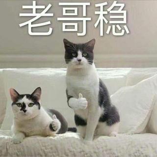 史上公认最好听中文歌