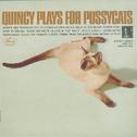 Quincy Plays For Pussycats