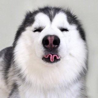 拯救低沉情绪良药