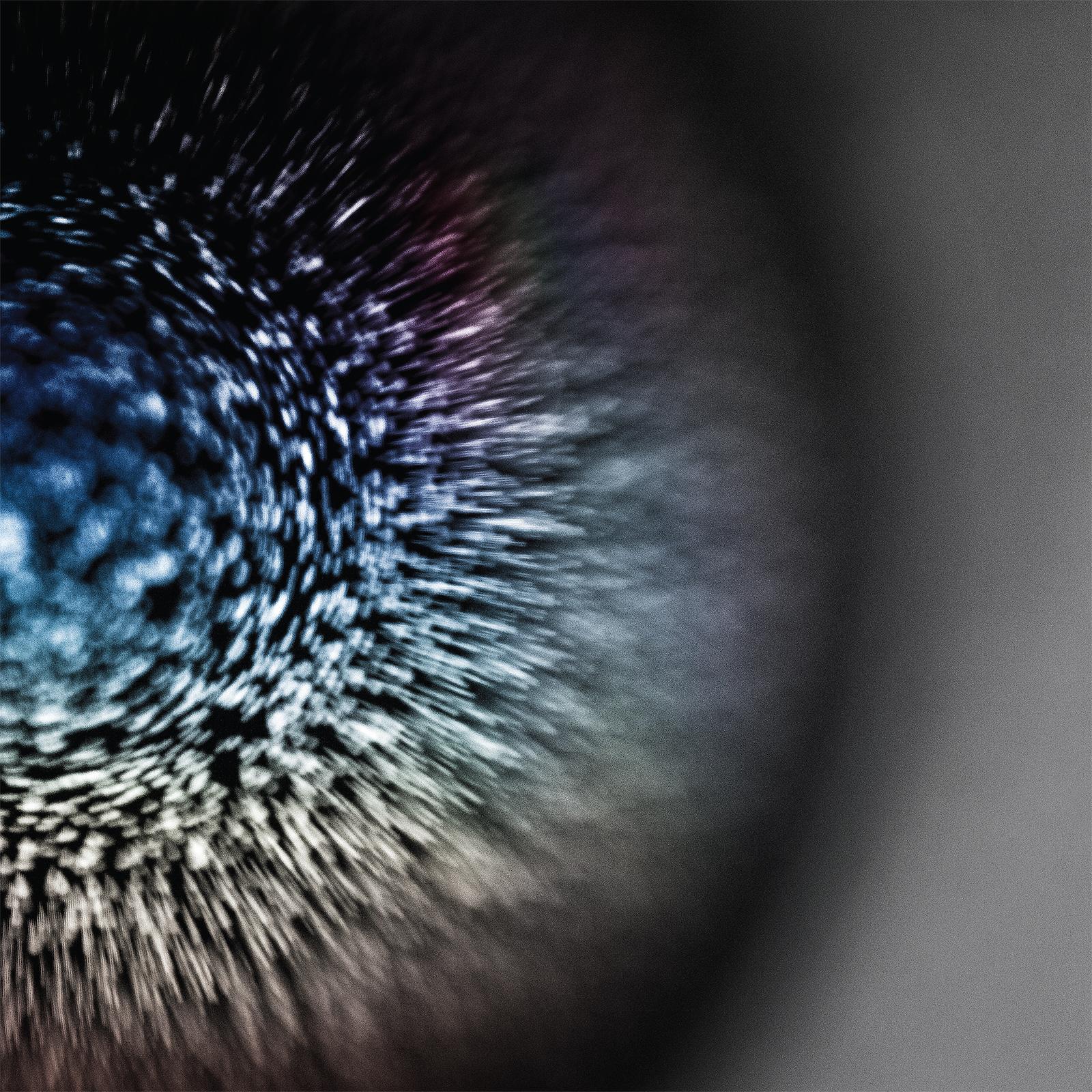 Sepal [Bonus Track]