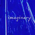 Imaginary