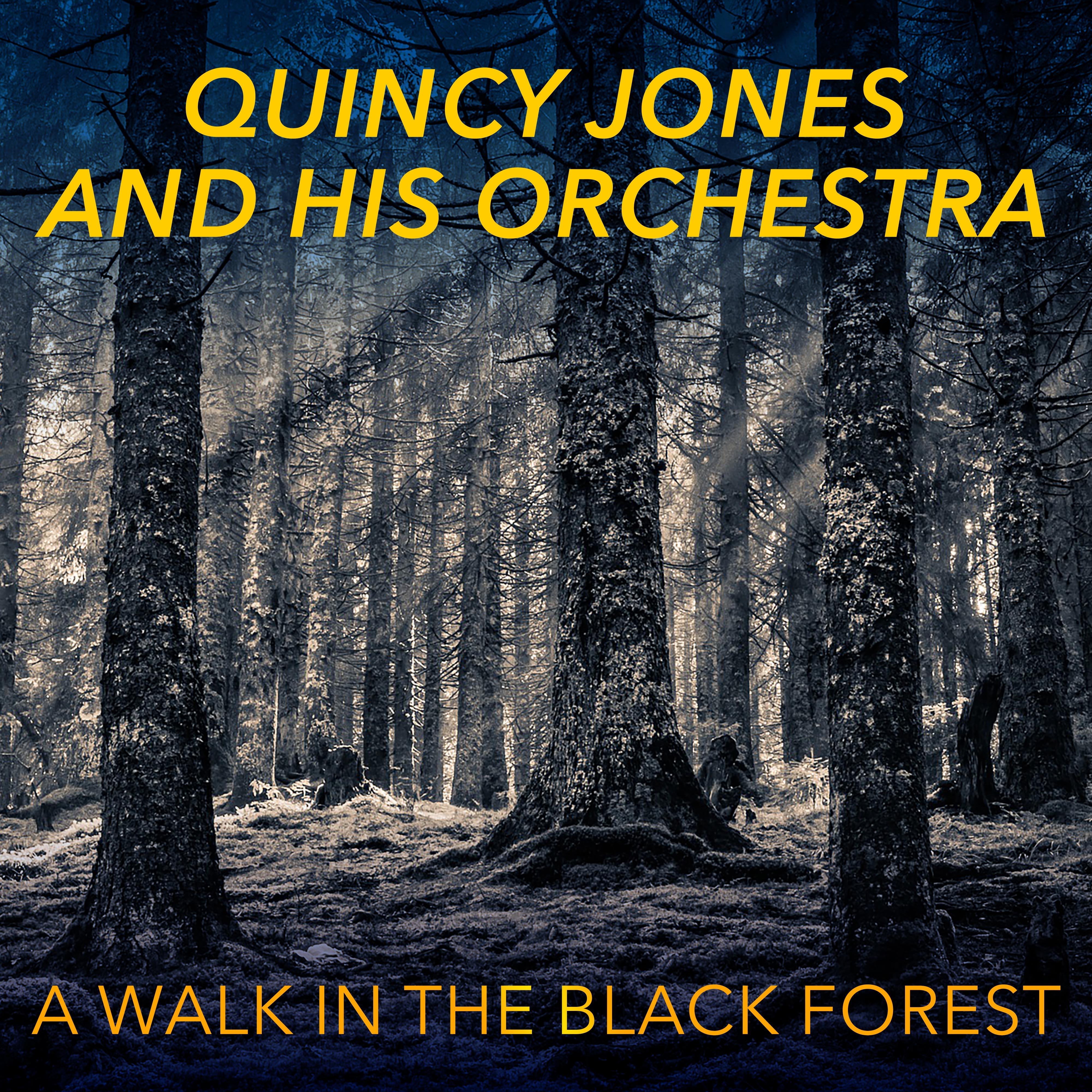 A Walk in the Black Forest
