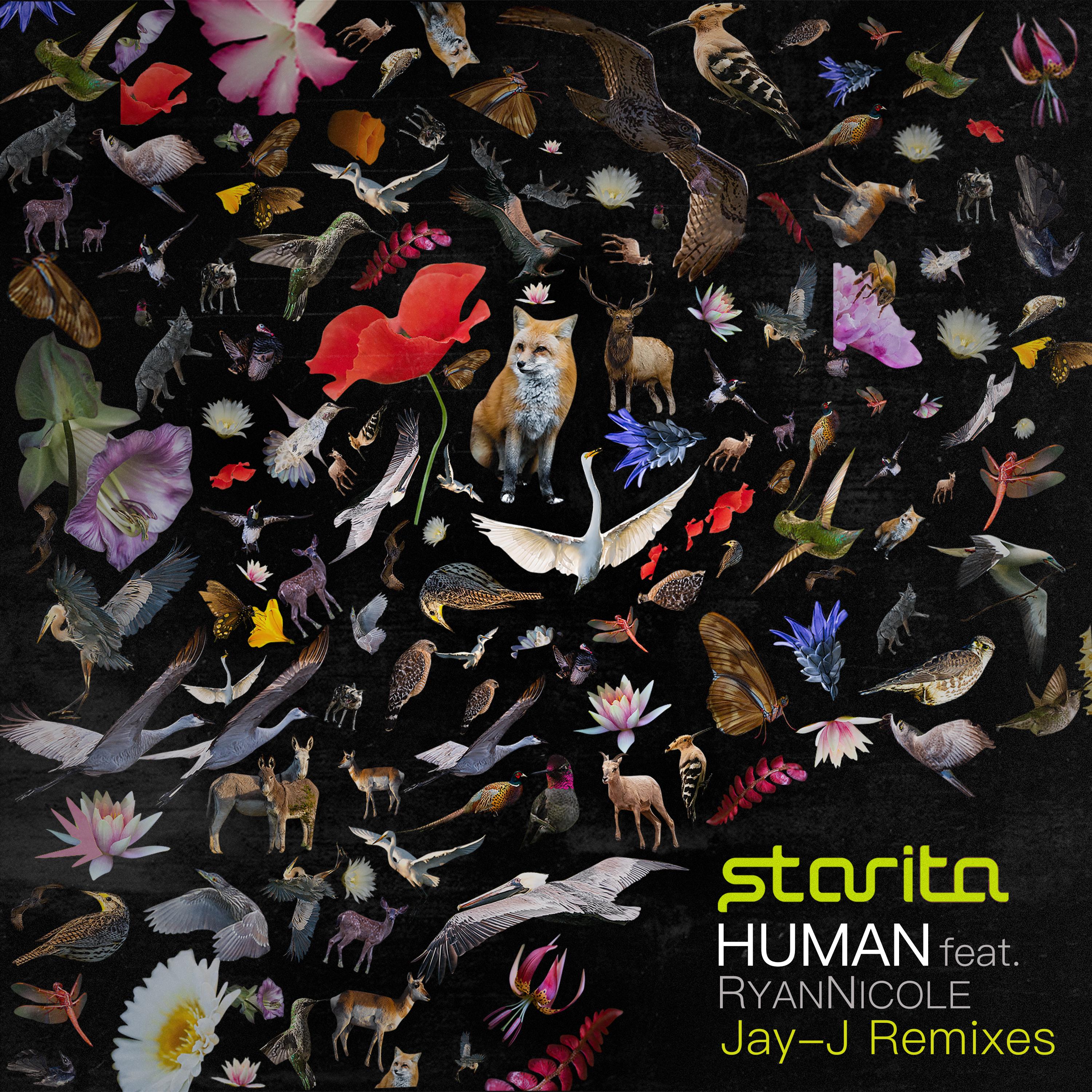 Human (Jay-J Remixes)