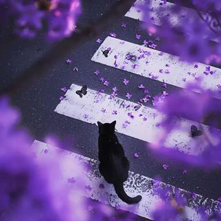 宿命感很强的歌曲｜在下一首旋律响起前相遇