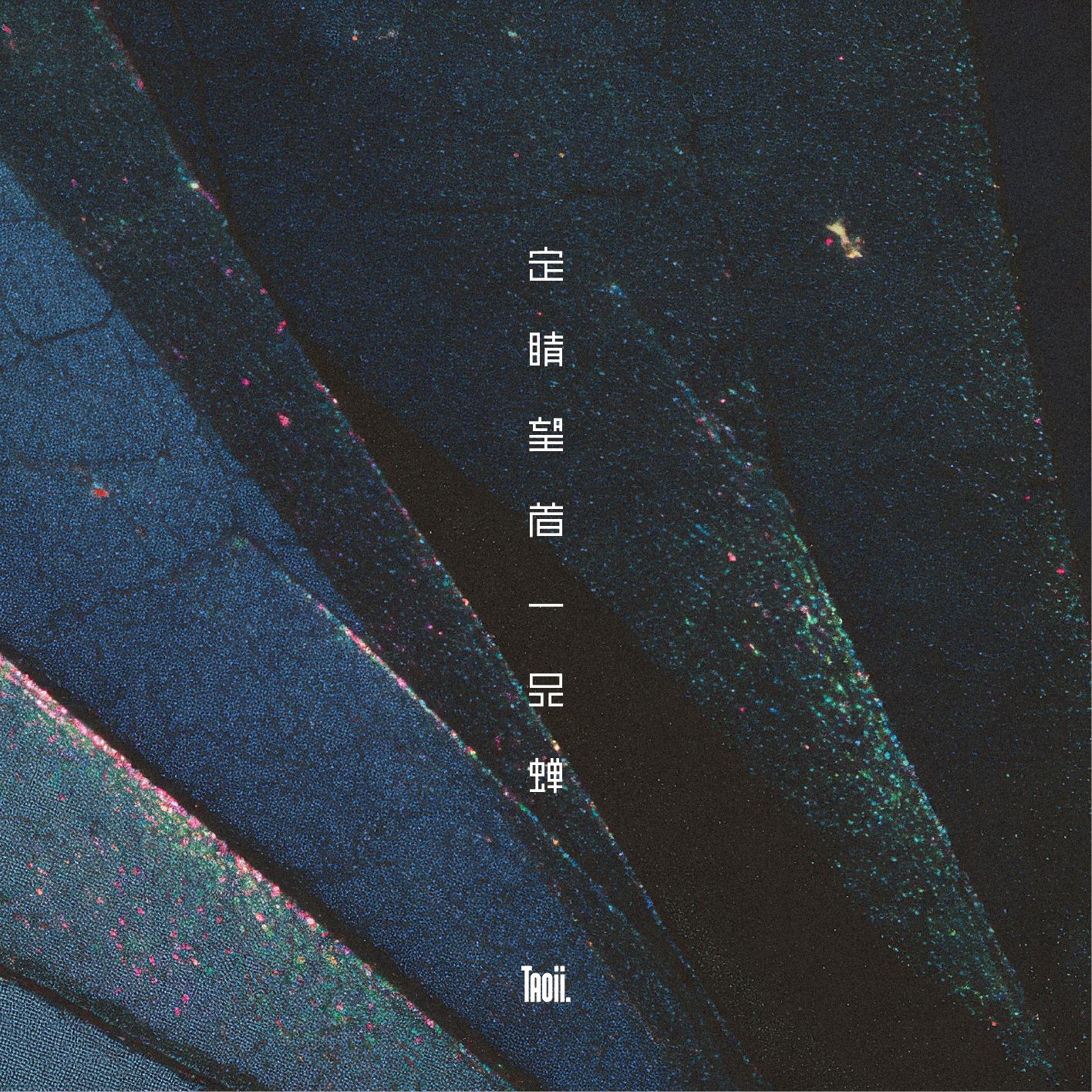 定睛望着一只蝉（TYDmusic）