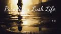 Paradise x Lush Life专辑