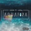 Caskey - Aquafina