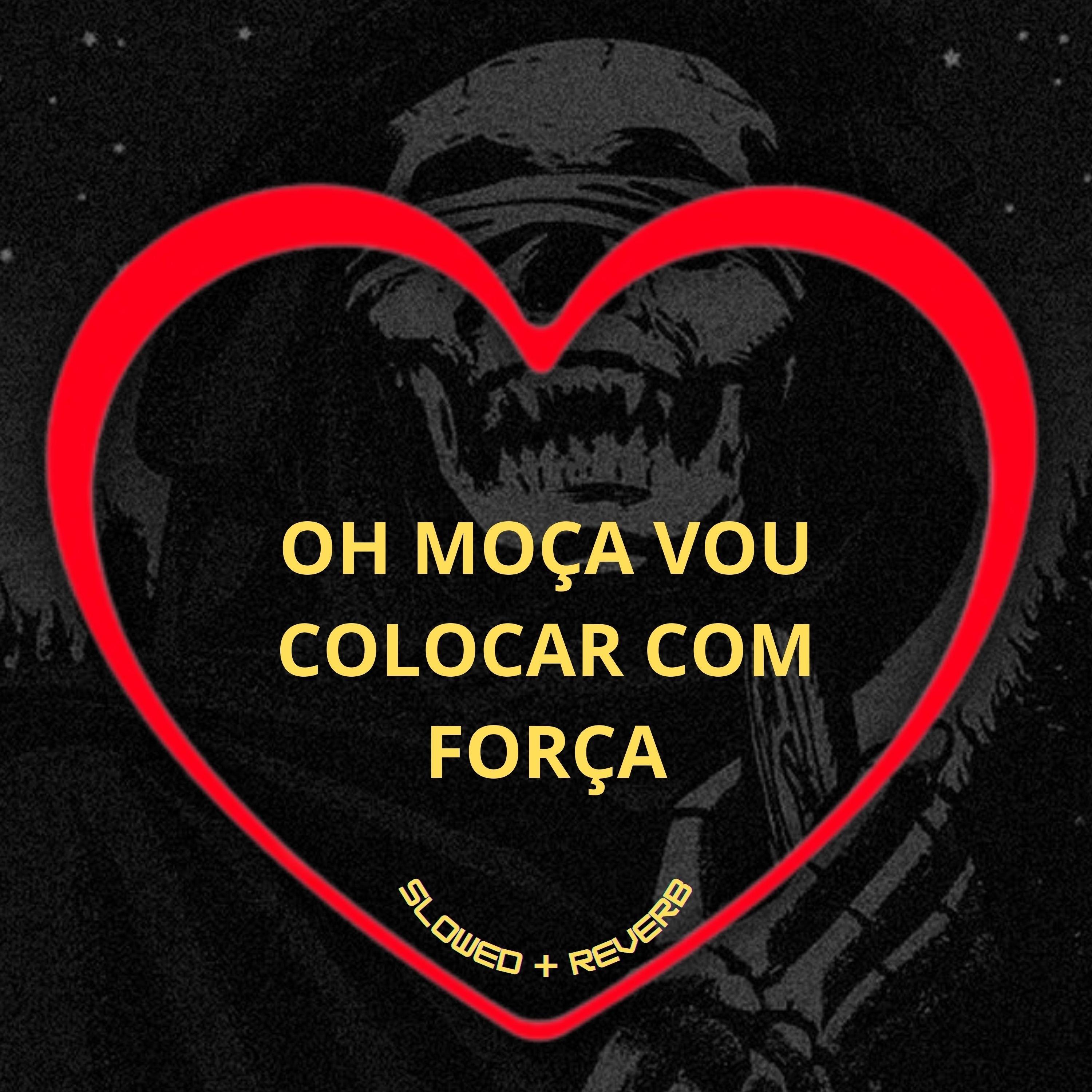 Oh Moça Vou Colocar Com Força (Slowed + Reverb)