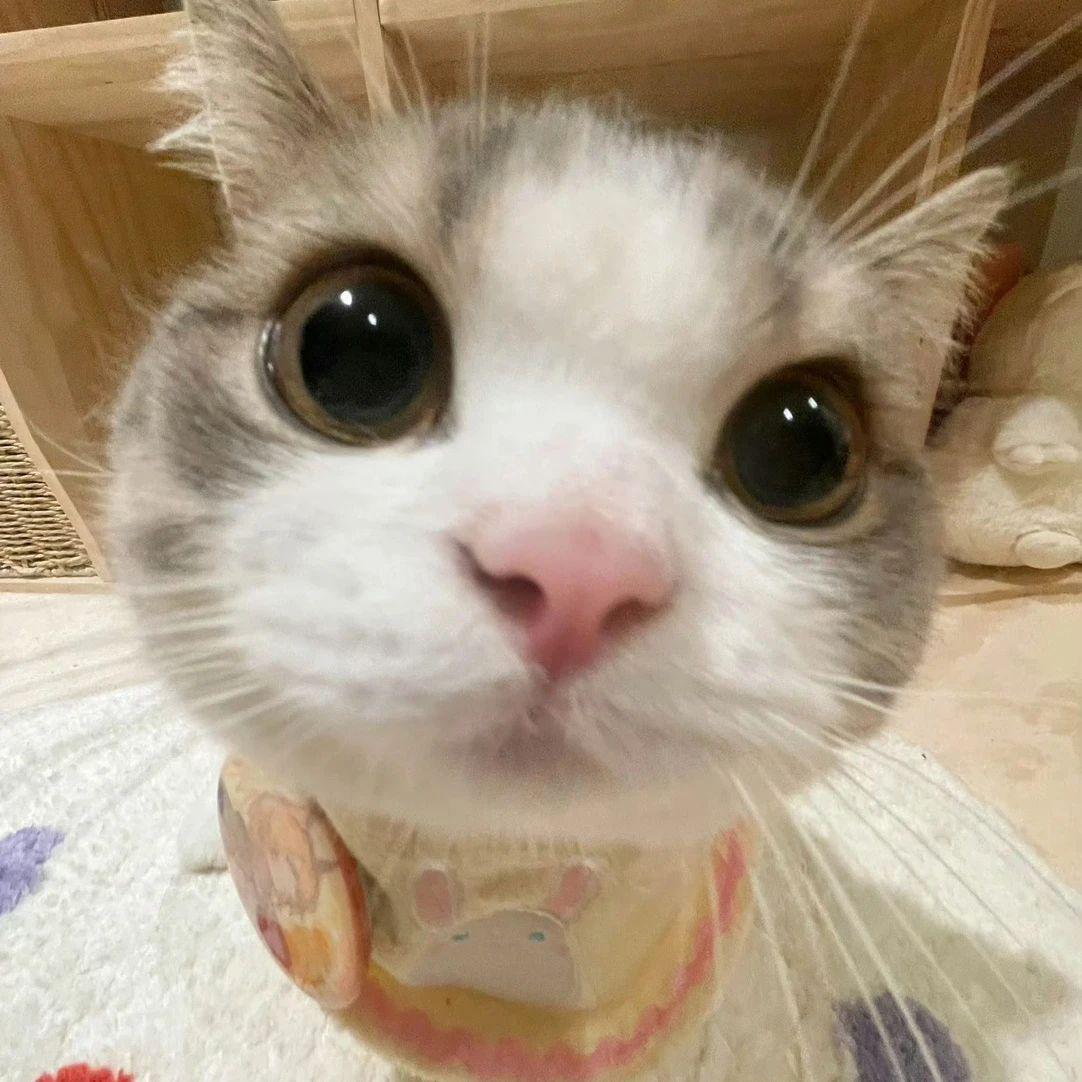 真的微笑想你