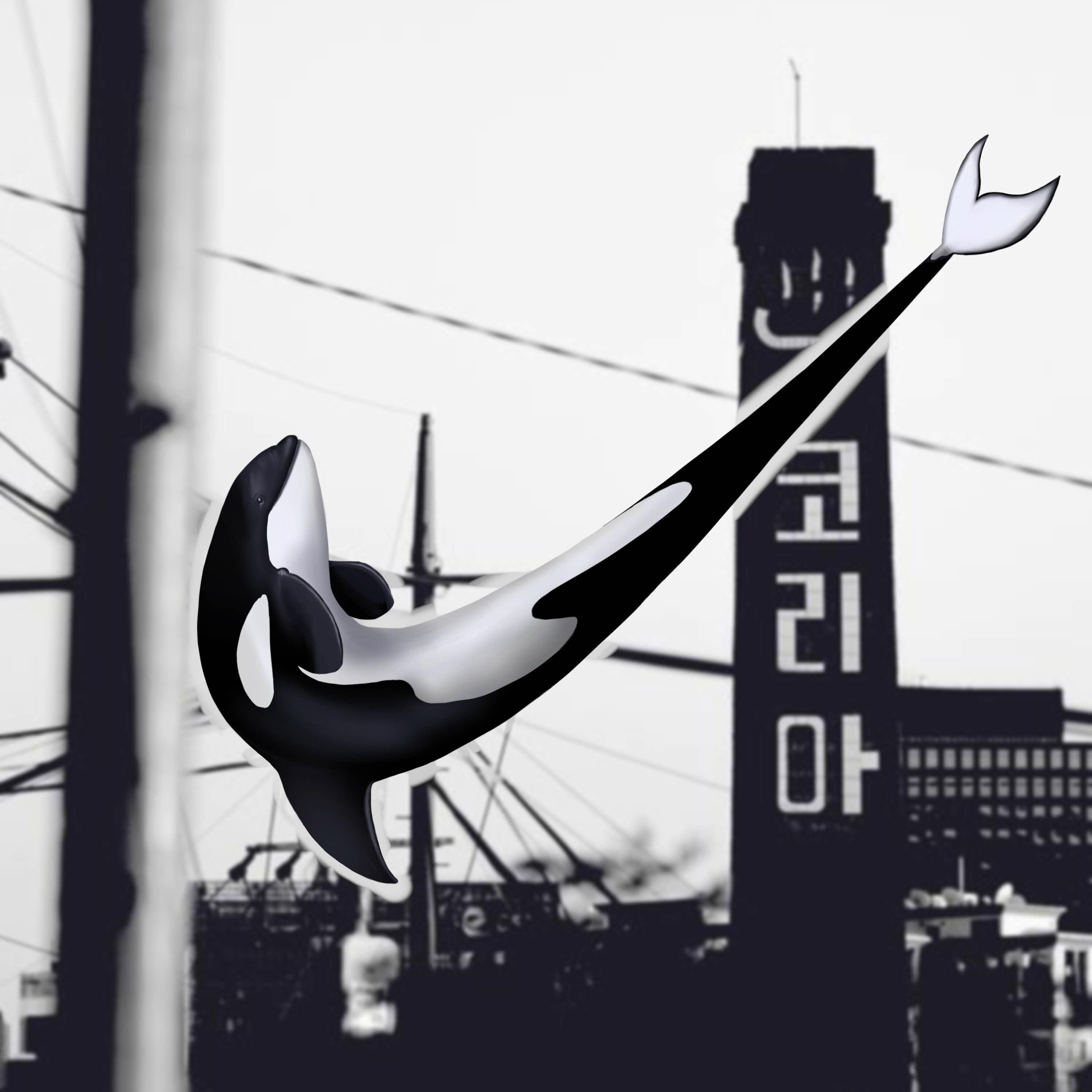 범고래