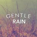 Gentle Rain专辑