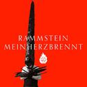 Mein Herz Brennt (Deluxe Edition)专辑