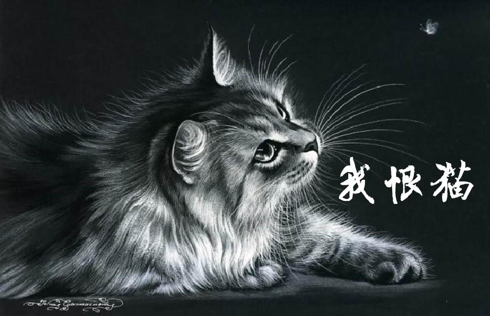 我恨猫专辑