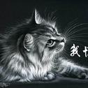 我恨猫专辑