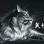 我恨猫专辑