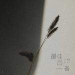 最佳后备专辑